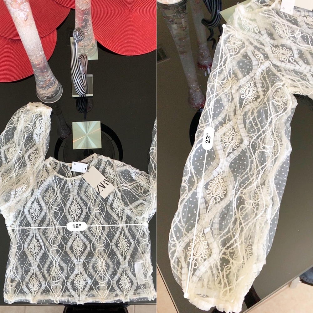 ZARA Mesh Tulle Top - Picture 10 of 10